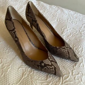 Banana Republic Size 11 Mid Heel Pump Shoe Snake Leather